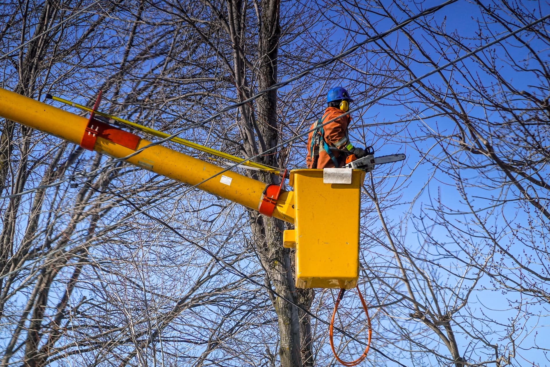 $240M Vegetation Management Firm in California